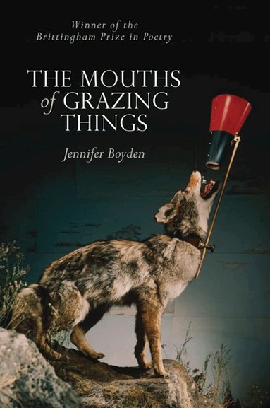 University of Wisconsin Press - MOUTHS of GRAZING THINGS, Häftad