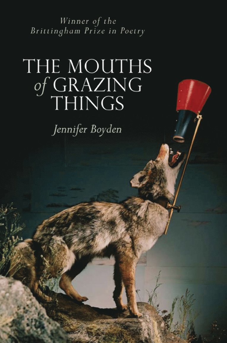MOUTHS of GRAZING THINGS 1