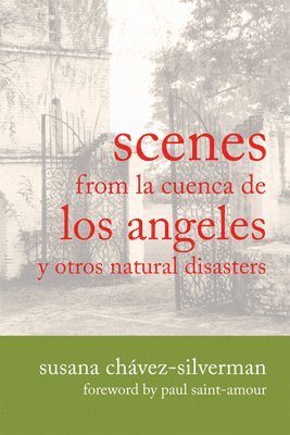 SCENES FROM LA CUENCA DE LOS ANGELES Y OTROS NATURAL DISASTERS 1