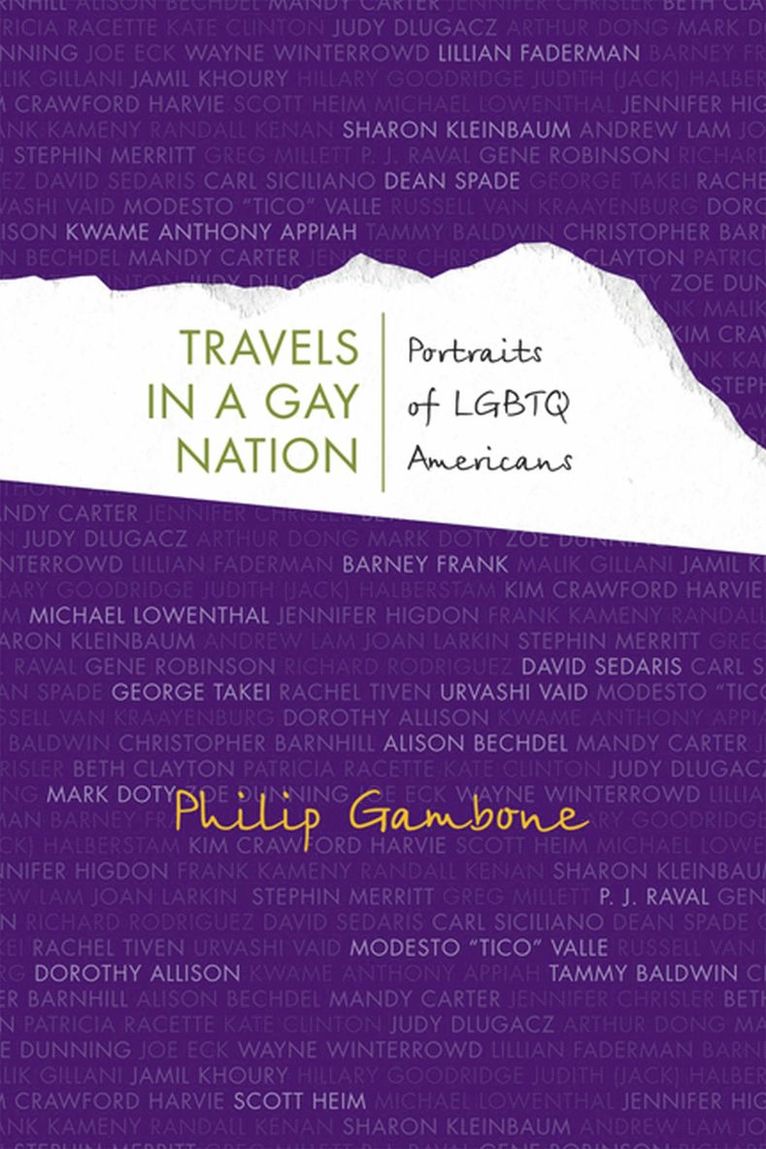 TRAVELS in a GAY NATION 1