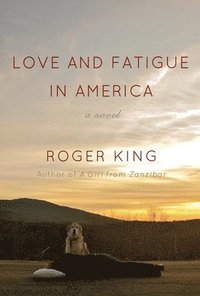 bokomslag Love and Fatigue in America