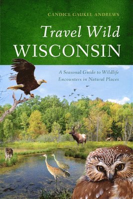 bokomslag Travel Wild Wisconsin