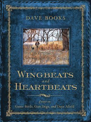 Wingbeats and Heartbeats 1