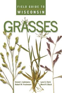 bokomslag Field Guide to Wisconsin Grasses