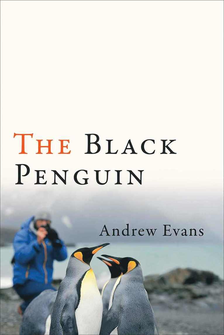 The Black Penguin 1