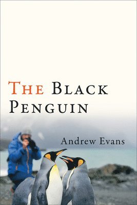 The Black Penguin 1