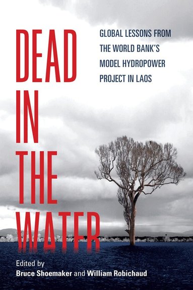 Bruce Shoemaker, William Robichaud - Dead in the Water, Häftad