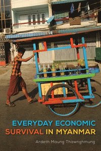 bokomslag Everyday Economic Survival in Myanmar