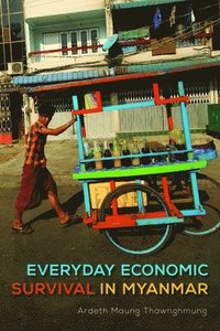 bokomslag Everyday Economic Survival in Myanmar