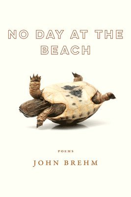 John Brehm - No Day at the Beach, Häftad