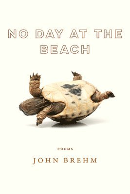 No Day at the Beach 1