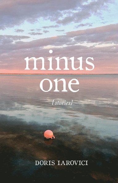 bokomslag Minus One