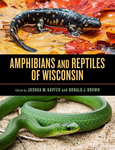 M. Joshua Kapfer, Donald J. Brown - Amphibians and Reptiles of Wisconsin, Inbunden