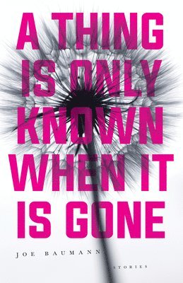 Thing Is Only Known When It Is Gone