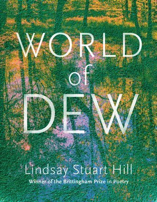 bokomslag World of Dew