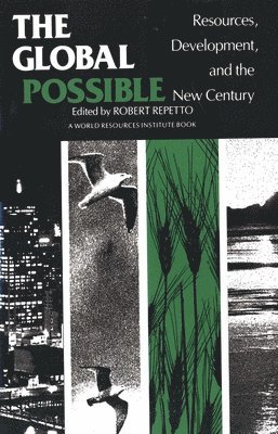 Robert Repetto, Robert C. Repetto - Global Possible, Häftad