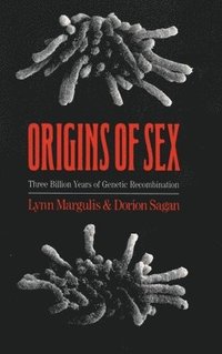 bokomslag Origins of Sex
