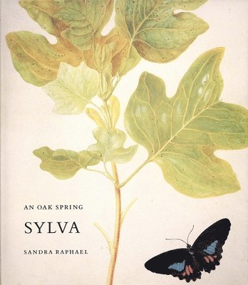 bokomslag An Oak Spring Sylva: A Selection of the Rare Books on Trees in the Oak Spring Garden Library