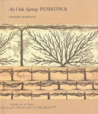 bokomslag An Oak Spring Pomona: A Selection of the Rare Books on Fruit in the Oak Spring Garden Library