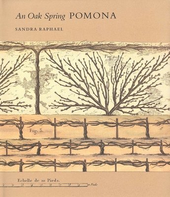 An Oak Spring Pomona 1