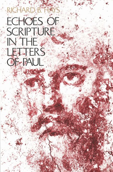 Richard B. Hays - Echoes of Scripture in the Letters of Paul, Häftad