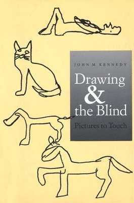 bokomslag Drawing and the Blind