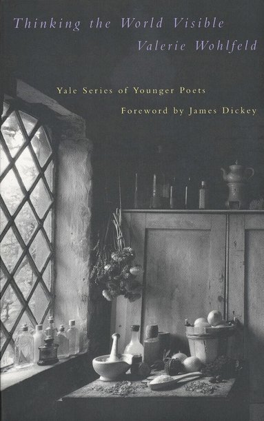 Valerie Wohlfeld - Thinking the World Visible, Häftad