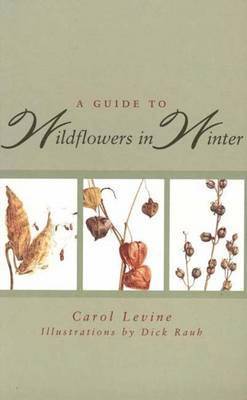 A Guide to Wild-flowers in Winter 1