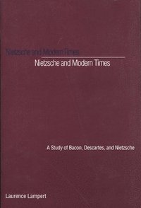bokomslag Nietzsche and Modern Times