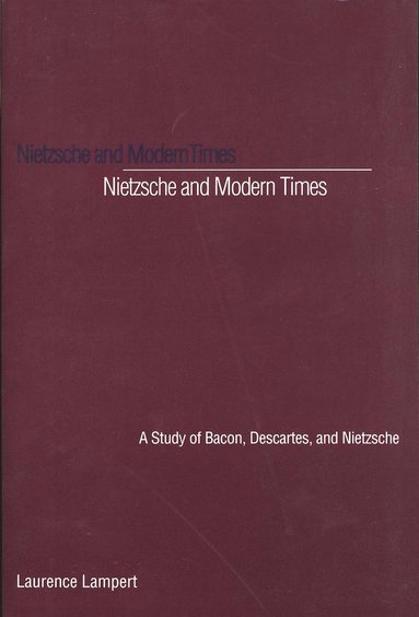 bokomslag Nietzsche and Modern Times