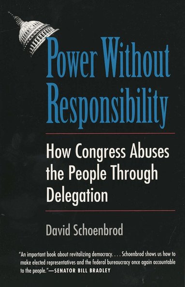 David Schoenbrod - Power Without Responsibility, Häftad