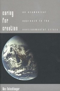 bokomslag Caring for Creation