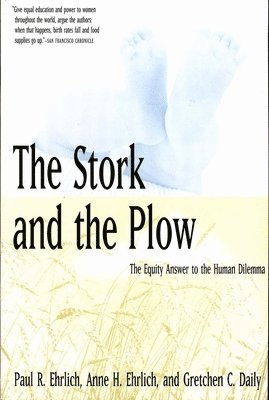 Stork And The Plow 1