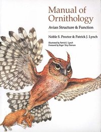bokomslag Manual of Ornithology
