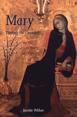 bokomslag Mary Through the Centuries