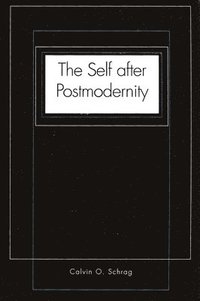 bokomslag The Self after Postmodernity