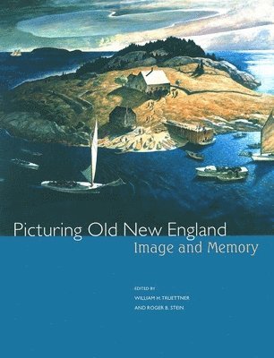 bokomslag Picturing Old New England