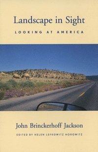 bokomslag Landscape in Sight: Looking at America