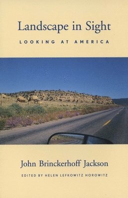 bokomslag Landscape in Sight: Looking at America