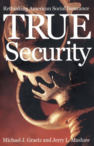 Michael J. Graetz, Jerry L. Mashaw - True Security, Häftad
