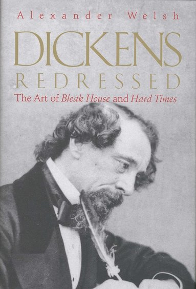 bokomslag Dickens Redressed