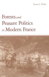 bokomslag Forests and Peasant Politics in Modern France