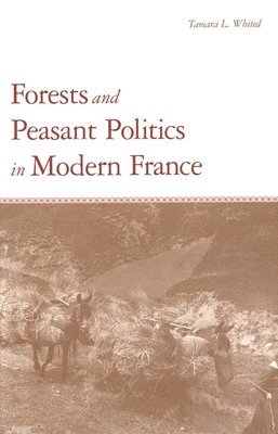 Tamara L. Whited - Forests and Peasant Politics in Modern France, Inbunden