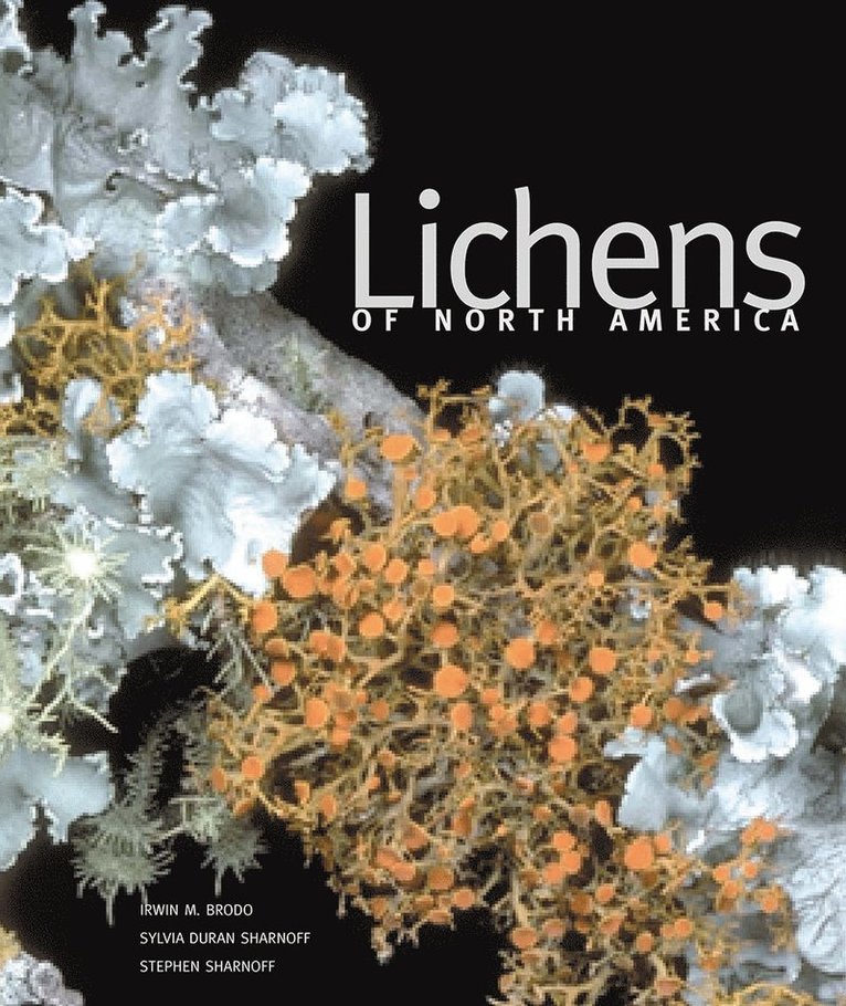 Lichens of North America 1