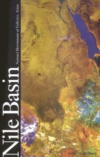 bokomslag The Nile Basin: National Determinants of Collective Action