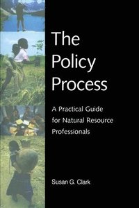 bokomslag The Policy Process