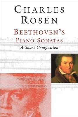 bokomslag Beethoven's Piano Sonatas