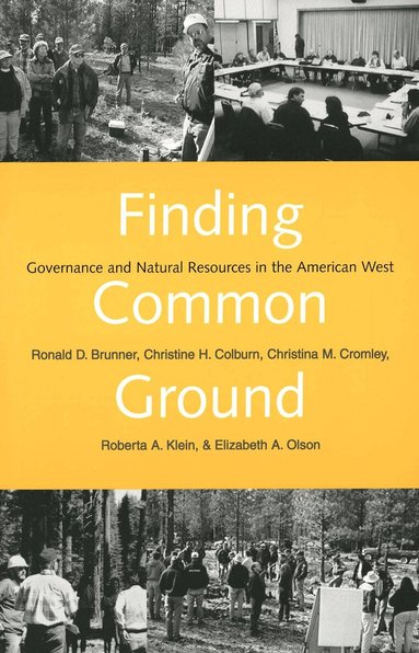 Ronald D. Brunner, Christine H. Colburn, Christina M. Cromley, Roberta A. Klein - Finding Common Ground, Häftad