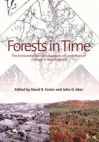 bokomslag Forests in Time