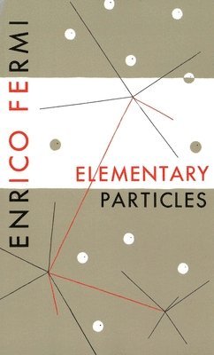 bokomslag Elementary Particles